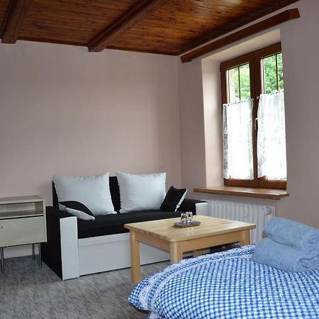 Penzion Pod Severakem Lučany nad Nisou Extérieur photo